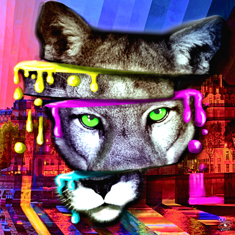 La realidad está hecha de sueños